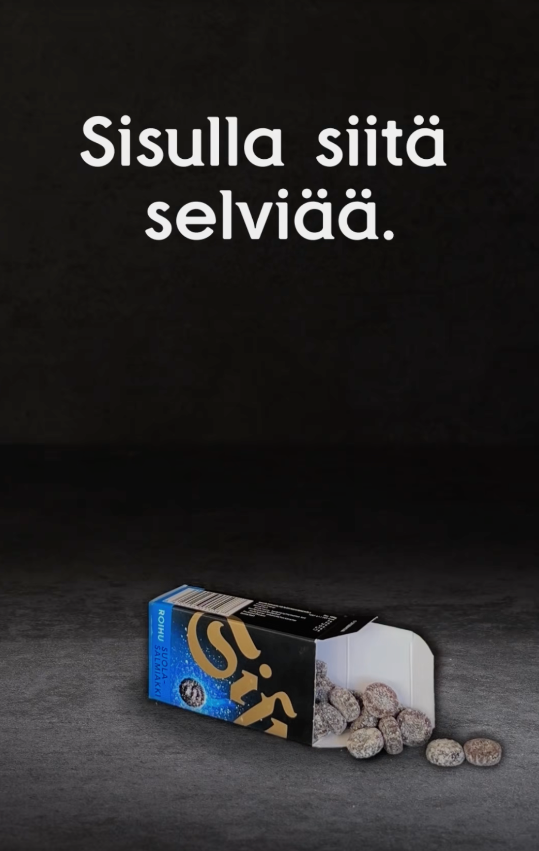 Sisulla siitä selviää -loppuplanssi
